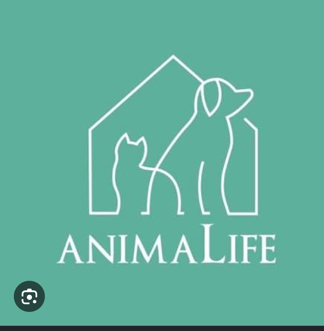 Animalife